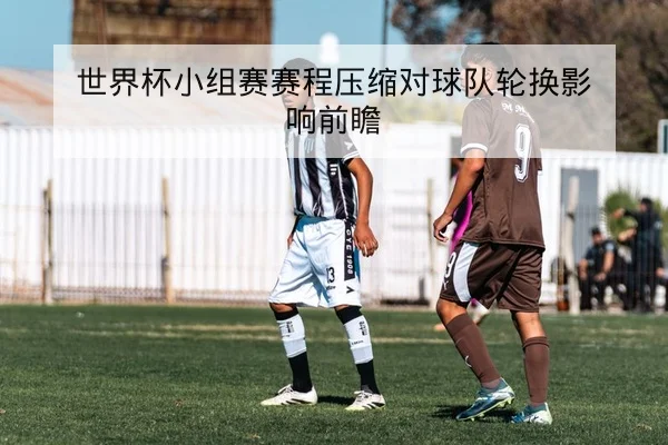温网女单赛程及逐轮比分与种子对阵查找